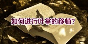 如何进行叶掌的移植？