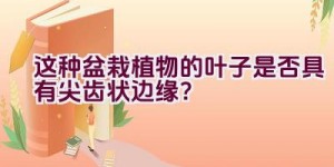 这种盆栽植物的叶子是否具有尖齿状边缘？