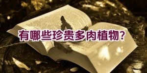 有哪些珍贵多肉植物？