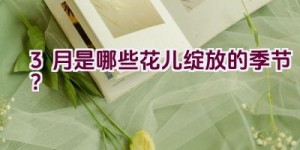 3月是哪些花儿绽放的季节？