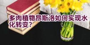 多肉植物昂斯洛如何实现水化转变？