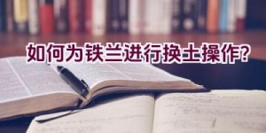 如何为铁兰进行换土操作？