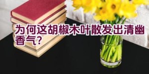 为何这胡椒木叶散发出清幽香气？