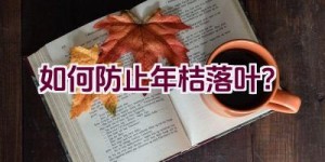 如何防止年桔落叶？