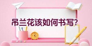 吊兰花该如何书写？