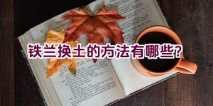 铁兰换土的方法有哪些？