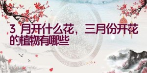 3月开什么花，三月份开花的植物有哪些