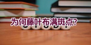 为何藤叶布满斑点？