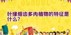 叶缘细齿多肉植物的特征是什么？