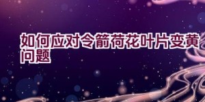 如何应对令箭荷花叶片变黄问题