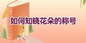 如何知晓花朵的称号
