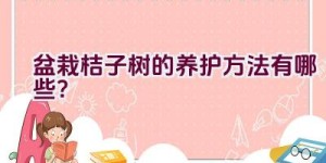 盆栽桔子树的养护方法有哪些？