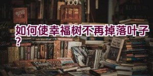 如何使幸福树不再掉落叶子？