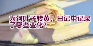 为何叶子转黄，日记中记录了哪些变化？