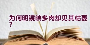 <?php the_title(); ?>