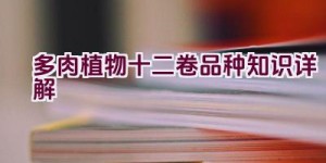 多肉植物十二卷品种知识详解