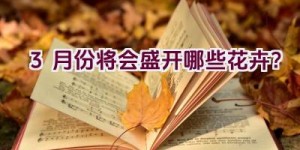 3月份将会盛开哪些花卉？