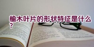 榆木叶片的形状特征是什么？