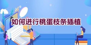 如何进行桃蛋枝条插植