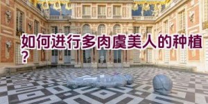 如何进行多肉虞美人的种植？