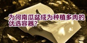 为何南瓜盆成为种植多肉的优选容器？
