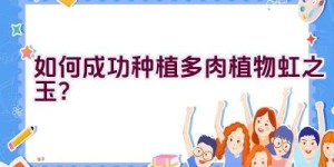 如何成功种植多肉植物虹之玉？