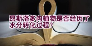 昂斯洛多肉植物是否经历了水分转化过程？