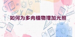 如何为多肉植物增加光照