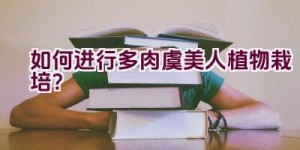 如何进行多肉虞美人植物栽培？