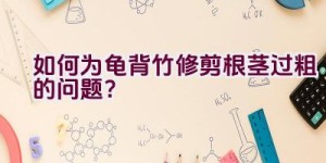 如何为龟背竹修剪根茎过粗的问题？