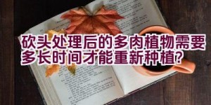 砍头处理后的多肉植物需要多长时间才能重新种植？