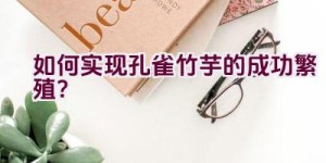 如何实现孔雀竹芋的成功繁殖？