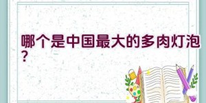 哪个是中国最大的多肉灯泡？