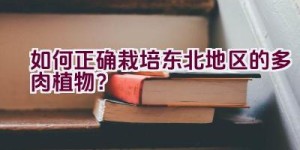 如何正确栽培东北地区的多肉植物？