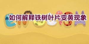 如何解释铁树叶片变黄现象