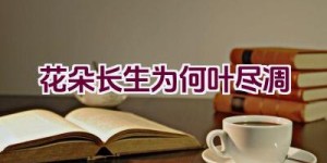 花朵长生为何叶尽凋