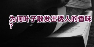 为何叶子散发出诱人的香味？