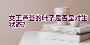 女王芦荟的叶子是否呈对生状态？