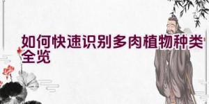 如何快速识别多肉植物种类全览