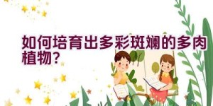 如何培育出多彩斑斓的多肉植物？