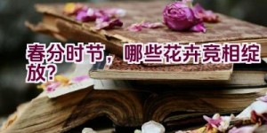 春分时节，哪些花卉竞相绽放？