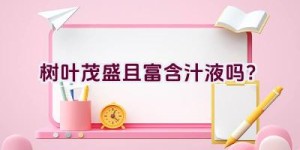 树叶茂盛且富含汁液吗？