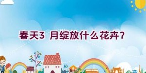 春天3月绽放什么花卉？