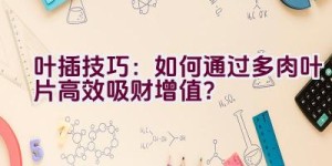叶插技巧：如何通过多肉叶片高效吸财增值？