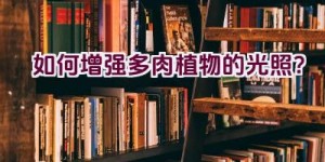 如何增强多肉植物的光照？