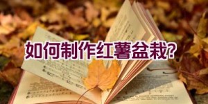 如何制作红薯盆栽？