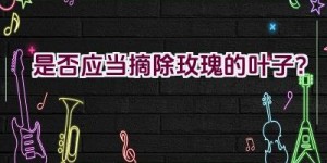 是否应当摘除玫瑰的叶子？