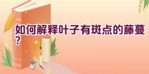 如何解释叶子有斑点的藤蔓？