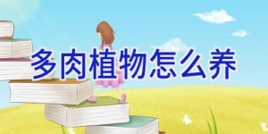 多肉植物怎么养