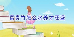 富贵竹怎么水养才旺盛